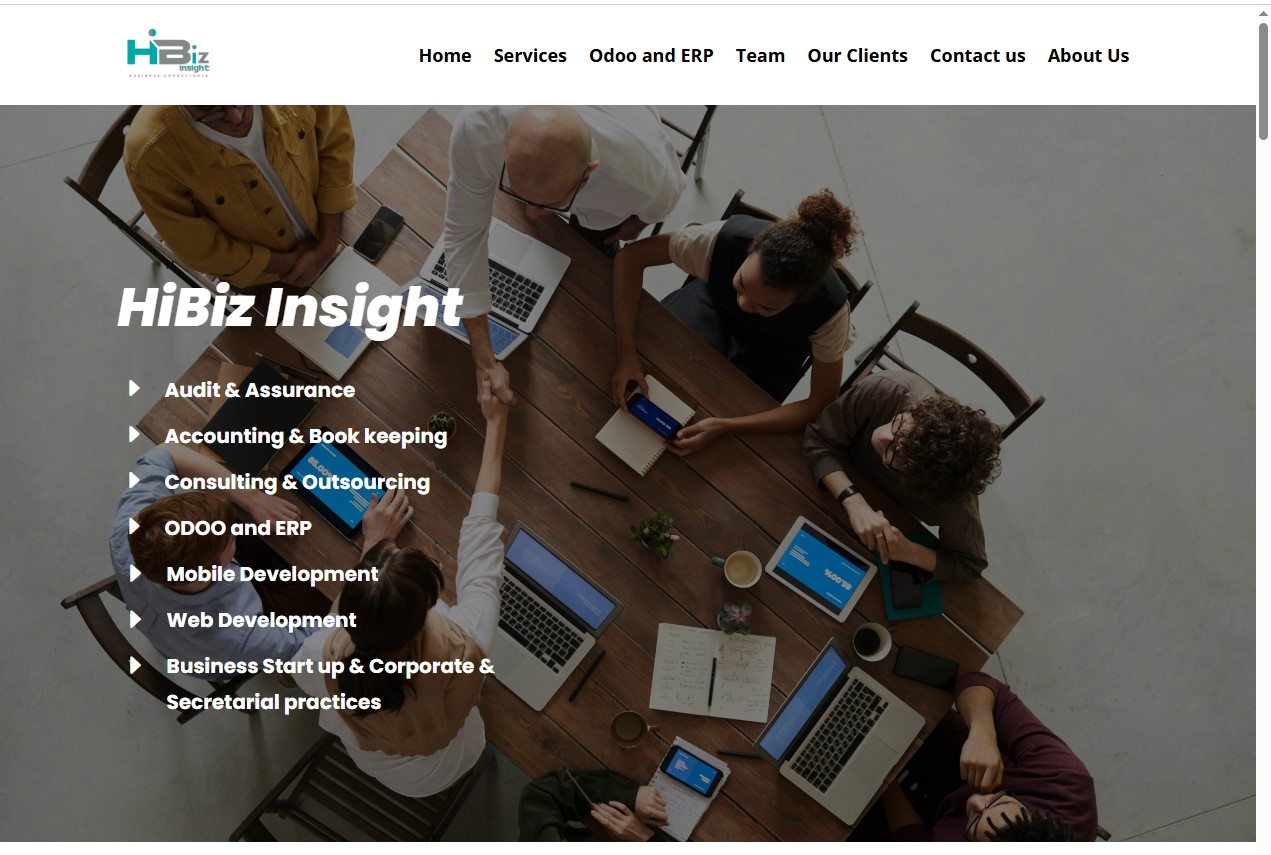 HiBizInsight – Seamless WordPress & Odoo ERP Integration
